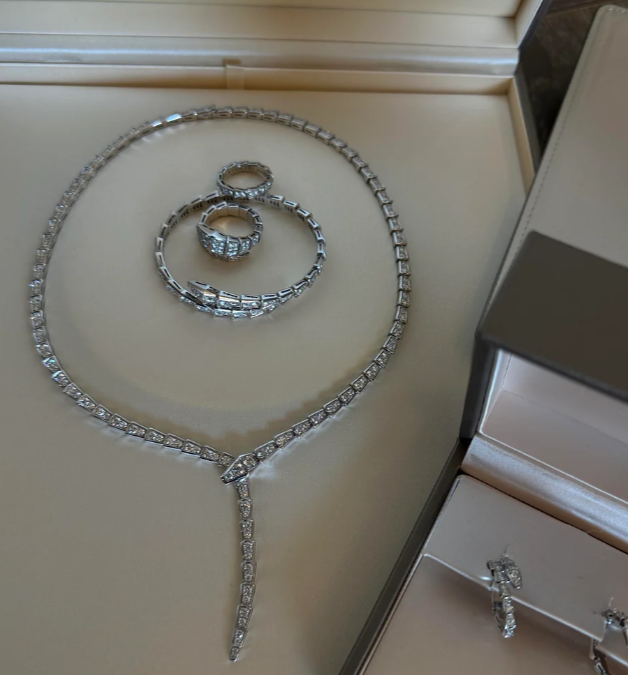 [⭐Marins]NEW！SERPENT DIAMOND NECKLACE