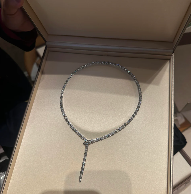 [⭐Marins]NEW！SERPENT DIAMOND NECKLACE