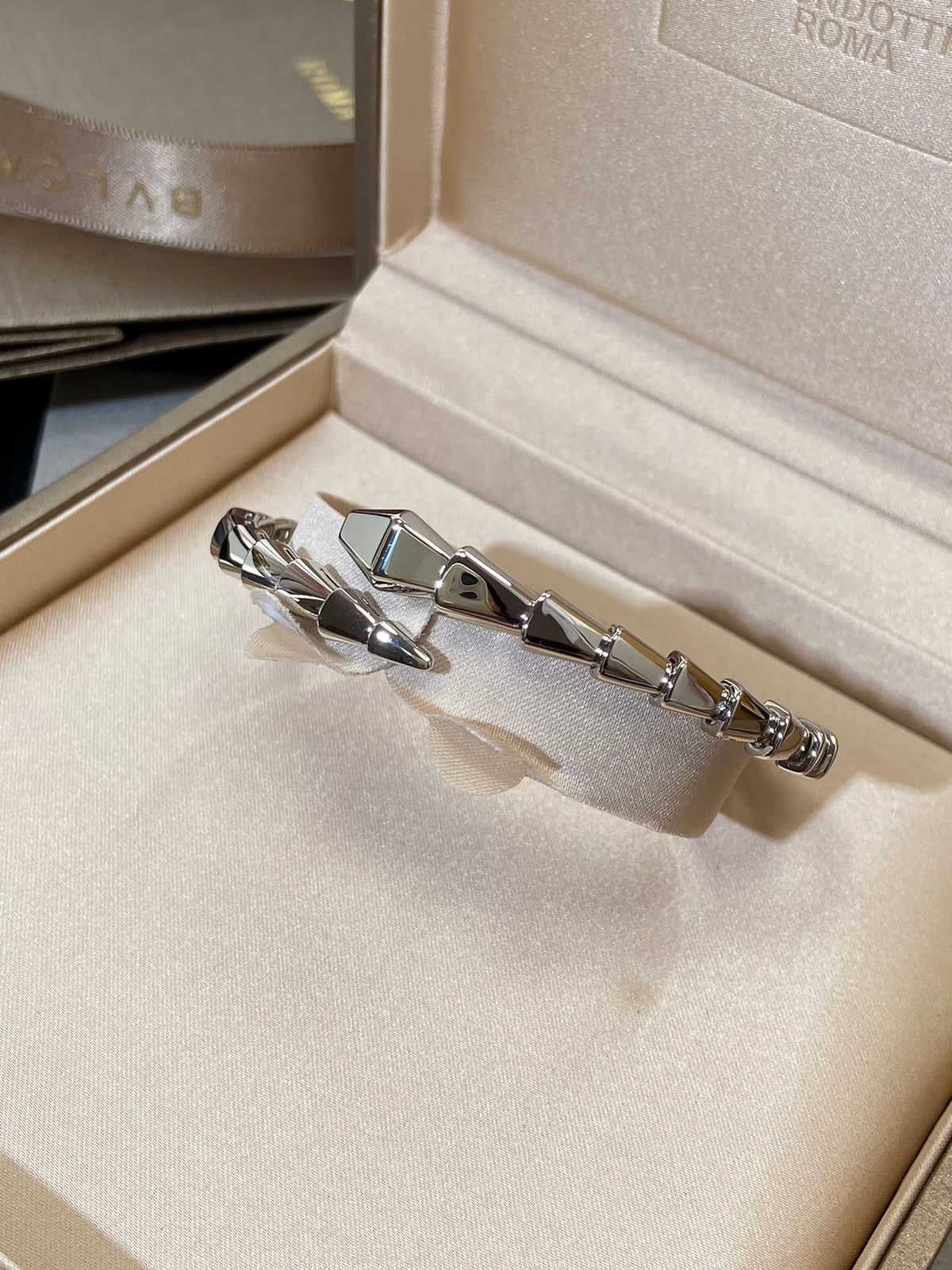 [⭐Marins]SERPENTI VIPER SILVER BRACELET