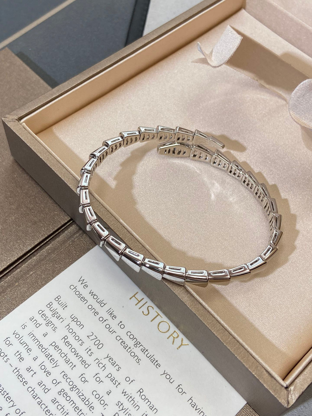 [⭐Marins]SERPENTI VIPER SILVER BRACELET