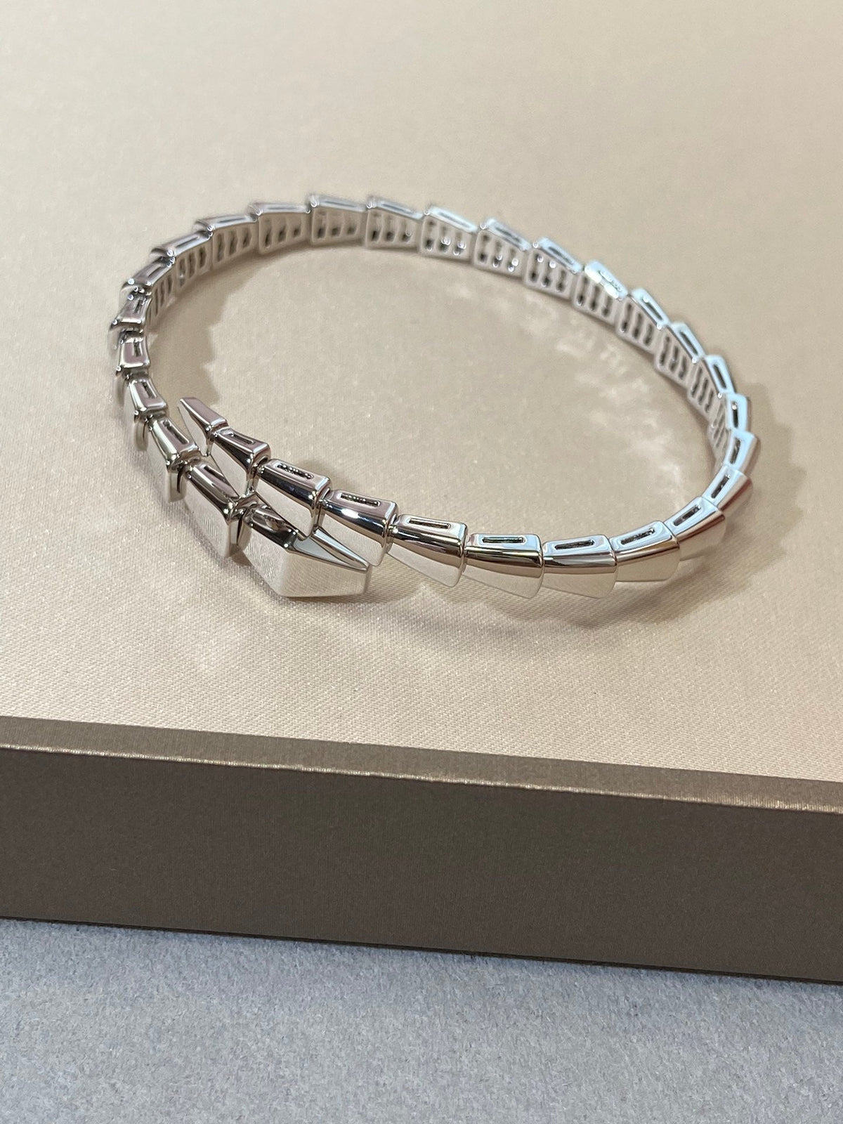 [⭐Marins]SERPENTI VIPER SILVER BRACELET